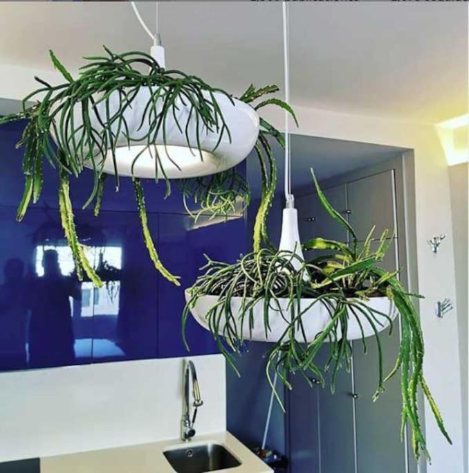 Apartamento Por Temporada Centro Diseno Madrid Ngoại thất bức ảnh